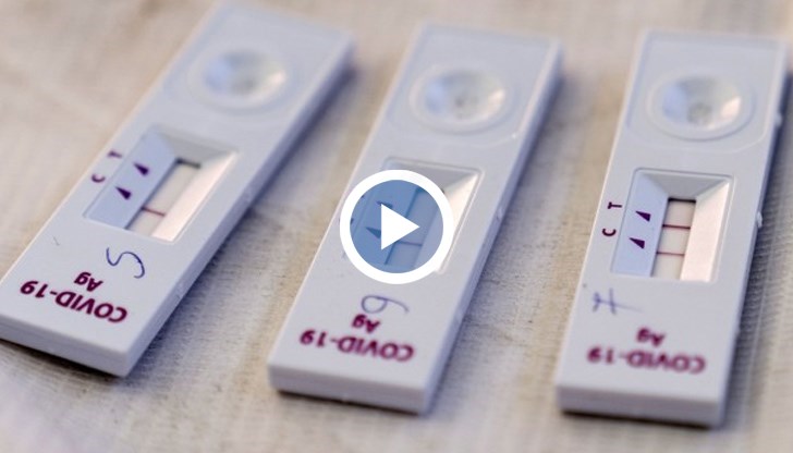 Правилната реакция е да се направи още един контролен тест, да се изпрати в Националната референтна лаборатория и тогава да се вземе решение, коментира адвокат Мария Петрова