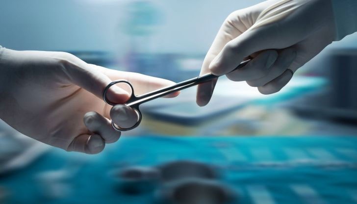 Органът функционира нормално Органът функционира нормално