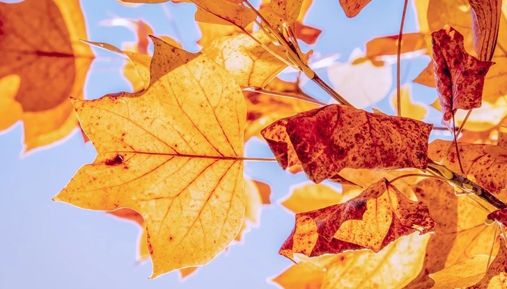 Времето през деня ще предимно слънчево с разкъсана висока облачност Времето през деня ще предимно слънчево с разкъсана висока облачност