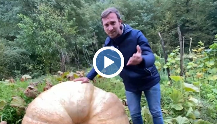 Екземплярът е един от най-големите в България