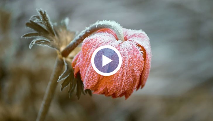 Студеното време ще се задържи около 10-тина дни