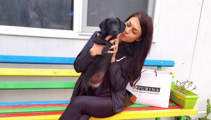 205 от тях са осиновени в България, а останалите 275 в чужбина