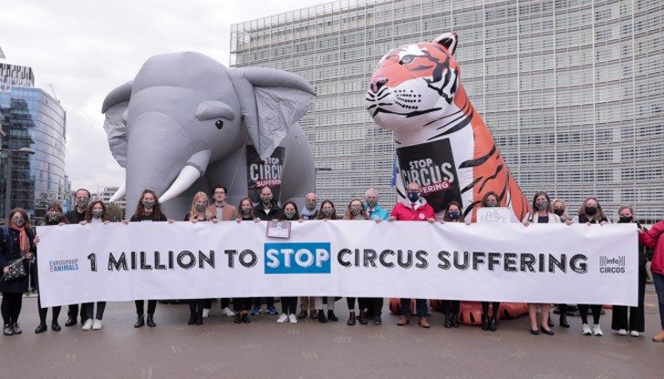 Деветнадесет държави-членки на ЕС са приели национални забрани за използване на диви животни в цирковете