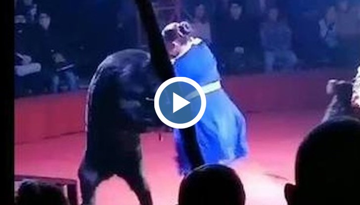 Жената е била откарана в болницата, но още няма информацията за здравословното й състояние