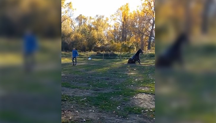 Това се е случило на конната база в Герман