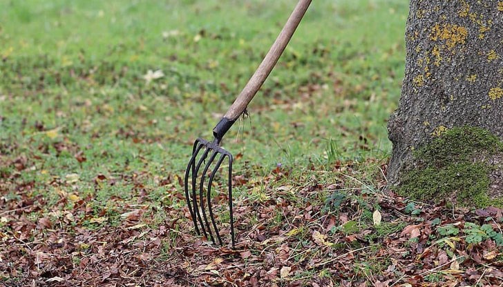 69-годишният мъж е нападнат с вила