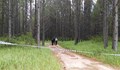 Млад полицай се самоуби в гората край варненското село Юнец