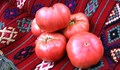 Защитаваме розовия домат пред ЕС
