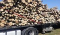 Измамници пускат обяви за дърва за огрев в интернет