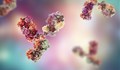 Какви са разликите между антителата след преболедуване и след ваксинация?