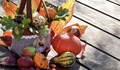 Кои са най-полезните есенни храни