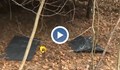 Откриха мигрантски бивак в гората над Ихтиман