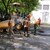 Община Русе търси строителни работници за "Комунални дейности"