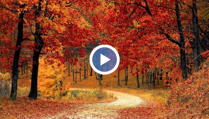 Затопляне се очаква през почивните дни