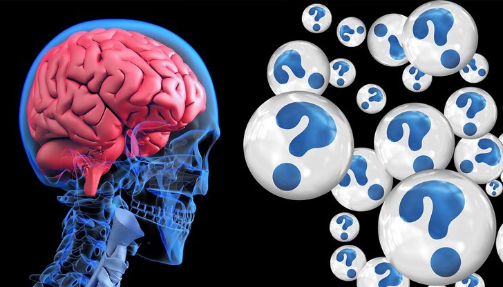 Хората, които са любознателни, водят интензивен живот и постоянно учат, по-рядко страдат от деменция Хората, които са любознателни, водят интензивен живот и постоянно учат, по-рядко страдат от деменция
