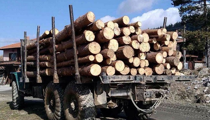 На няколко места в региона полицаите разкрили незаконна дървесина