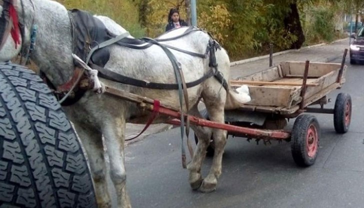 Пострадалата е приета за лечение в болницата в Бяла Пострадалата е приета за лечение в болницата в Бяла
