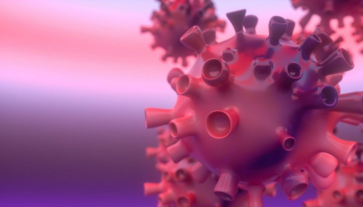 Новият вариант на коронавирус е установен при жена, върнала се от Намибия през Южна Африка и Дубай