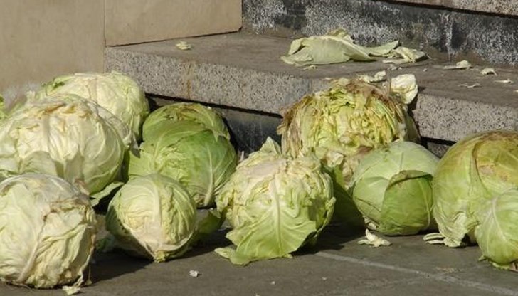 При направени неотдавна проучвания се оказва, че много хора страдат от недостиг на витамин К1, което се счита за предпоставка за заболяване от Алцхаймер. Зелето е чудесен източник на този безценен витамин При направени неотдавна проучвания се оказва, че много хора страдат от недостиг на витамин К1, което се счита за предпоставка за заболяване от Алцхаймер. Зелето е чудесен източник на този безценен витамин