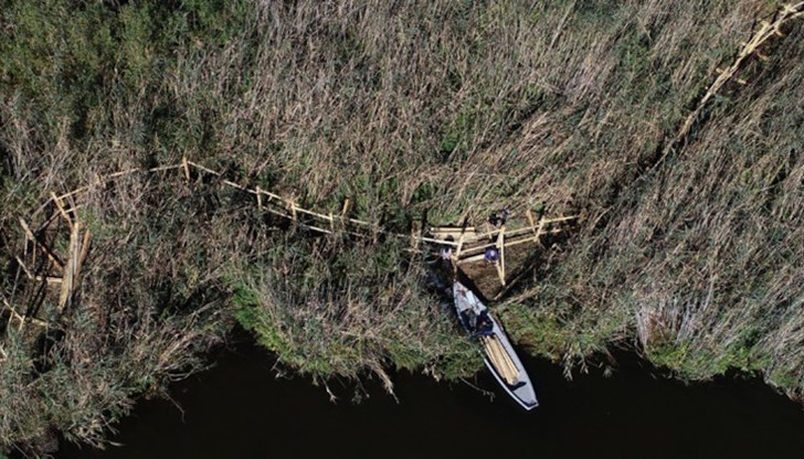 Поддържащите дейности в колонията на къдроглавите пеликани в "Сребърна" приключват Поддържащите дейности в колонията на къдроглавите пеликани в "Сребърна" приключват