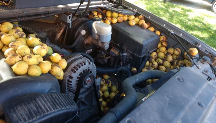 Трябваше да сваля калниците на колата, за да извадя ядките от всички пукнатини и кухи места, казва собственикът на автомобила