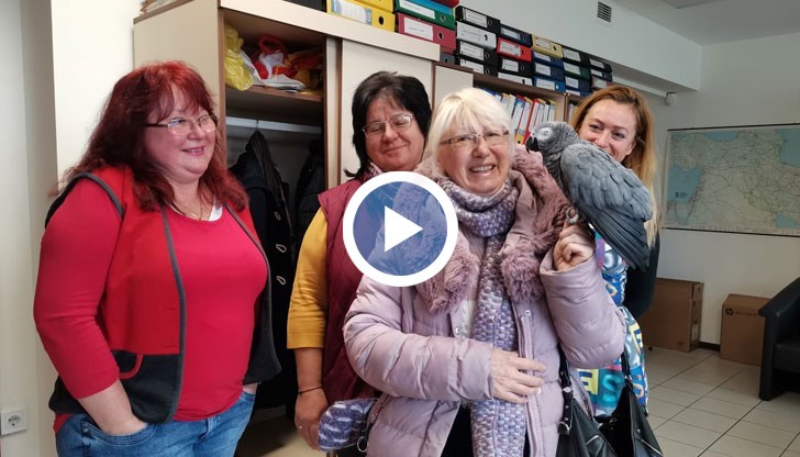 Птицата избяга от стопанина си преди два дни