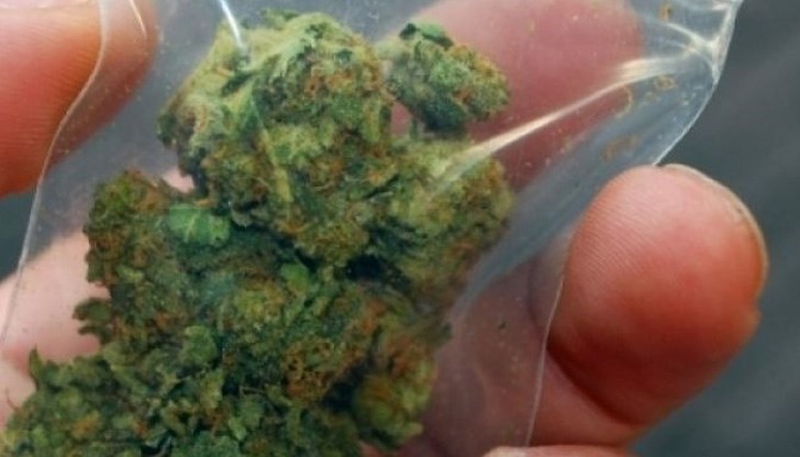 25-годишният русенец е предал на полицаите  найлонов свитък с марихуана