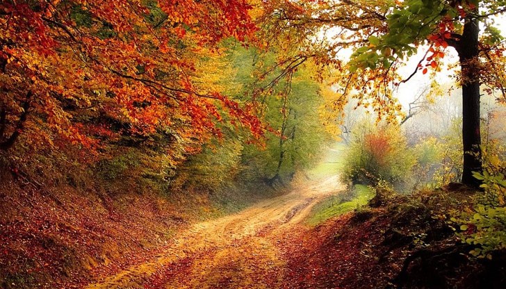 Климатичните промени притъпяват цветовете и отлагат пиковия сезон