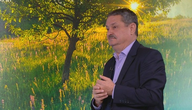 Чак след 25 ноември може да очакваме първите снежни дни