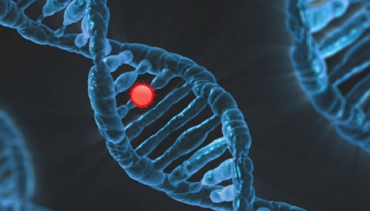 Жените обикновено не боледуват от тях, но могат да са носителки на счупения ген и да го предават на децата си