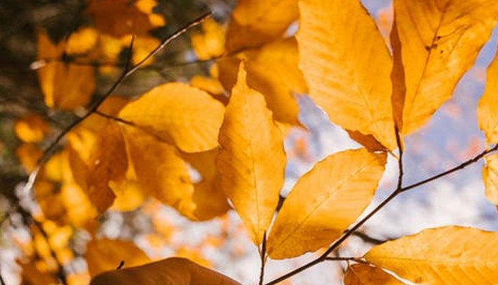 Температура от 32.4 градуса отчетоха в старата столица днес Температура от 32.4 градуса отчетоха в старата столица днес