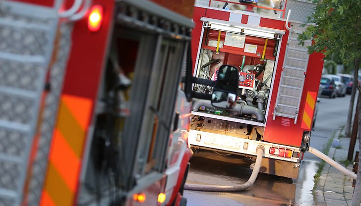 Трябва да обявим ден на траур Трябва да обявим ден на траур