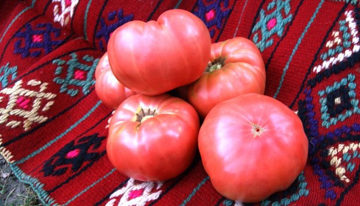 Зеленчукът притежава 100-годишна история и безспорни вкусови качества