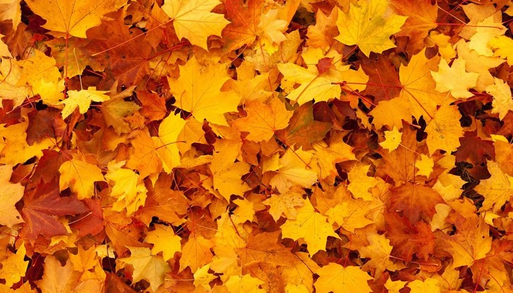 Към 25 - 26 ноември вероятността за валежи намалява, тогава ще има и по-значителни разкъсвания и временни намаления на облачността, но и мъгли в равнинната част от страната