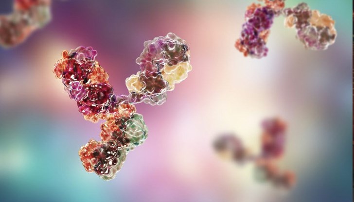 В кой случай сме по-защитени? В кой случай сме по-защитени?