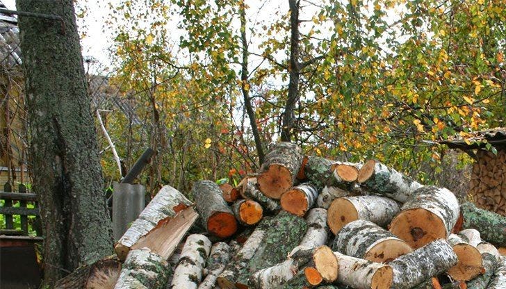 Община Русе напомни изискванията за ползване и съхраняване на дървесина за огрев