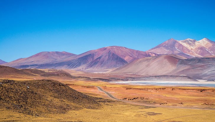 Пустинята Атакама крие ключът към изхранването на света, смятат генетиците