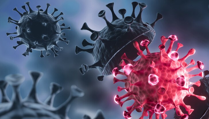 Според директора на Националния институт по инфекциозни болести в Република Южна Африка, той не причинява тежки форми на заболяването