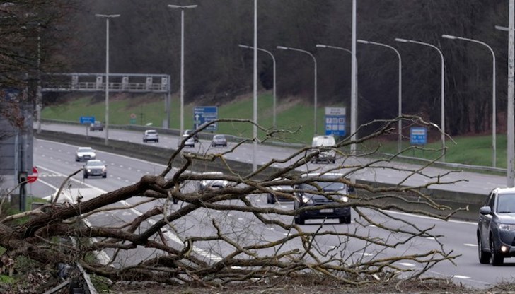 Десетки хиляди останаха без електричество, много пътища са затворени Десетки хиляди останаха без електричество, много пътища са затворени