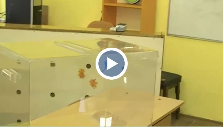 Видимо нездрави лица няма да бъдат допускани до гласуване