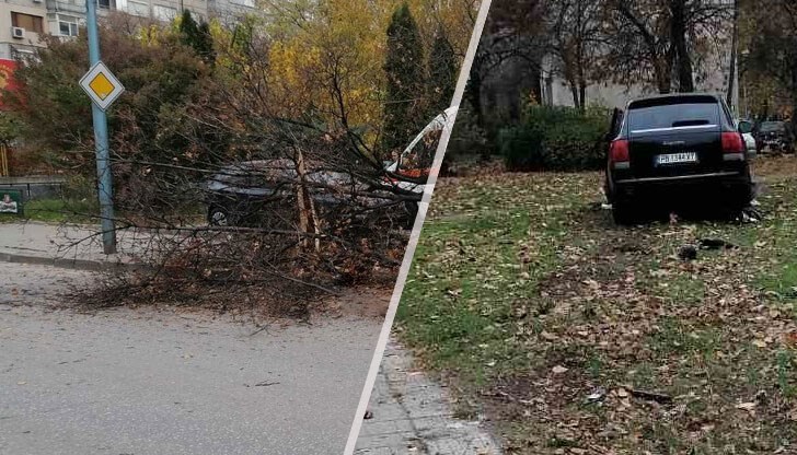 Шофьорът е избягал