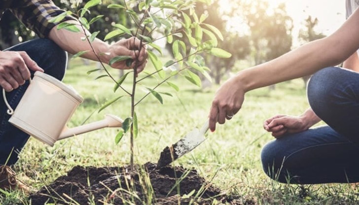 Тази неделя стартира мащабната кампания на сдружение СъГраждани и Община Русе "Новата гора на Русе"
