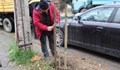 "Паркстрой" приключи със засаждането на 315 дръвчета в Русе