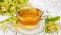 5 ползи на чая от липа за нашето здраве