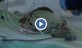 Изоставени бебета живеят в родилните отделения повече от година