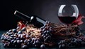 Любопитни факти за червеното вино