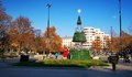 Коледната елха на площад „Свобода“ грейва тази вечер