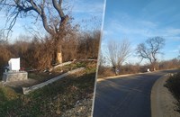 Кой ще спре това безобразие?!