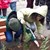 Ученици от СУ „Йордан Йовков“ засадиха бели борчета в двора пред училището