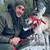 Чистокръвен елен на Дядо Коледа живее в България